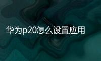 華為p20怎么設(shè)置應(yīng)用權(quán)限（華為p20PRO設(shè)置應(yīng)用權(quán)限）