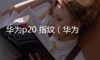 華為p20 指紋（華為p20前置指紋使用技巧）