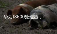 華為t8600處理器，華為T8600配置參數和報價