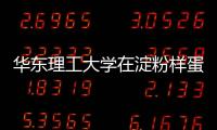 華東理工大學在淀粉樣蛋白β斑塊活體檢測領域取得新突破