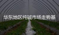 華東地區純堿市場走勢基本平穩 成交氣氛溫和,市場研究