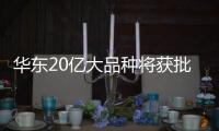 華東20億大品種將獲批 恒瑞、海正已開始搶占市場
