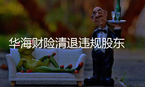 華海財(cái)險(xiǎn)清退違規(guī)股東 接盤(pán)者隔一月?lián)Q新人