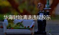 華海財險清退違規股東 接盤者隔一月換新人