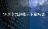 華潤電力總裁王玉軍被調(diào)查 系集團第七位被查高管