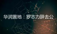 華潤置地：羅志力辭去公司秘書一職 蘇堯鋒接任