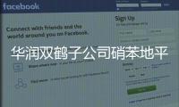 華潤雙鶴子公司硝苯地平緩釋片（II）過評