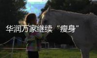 華潤萬家繼續“瘦身” 掛牌轉讓青海華潤萬家100%股權