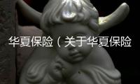 華夏保險（關于華夏保險的基本情況說明介紹）
