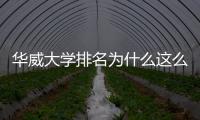 華威大學排名為什么這么低？ 華威大學世界排名2021
