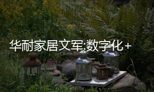 華耐家居文軍:數字化+鏈接客戶+成為IP,企業應強化三大能力的升級