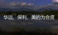 華遠、保利、美的為合資公司提供合計5500萬財務資助