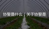 協警是什么（關于協警是什么的基本情況說明介紹）