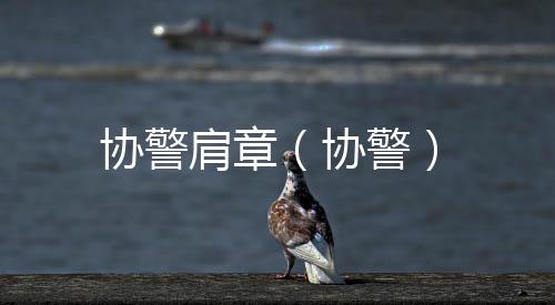 協警肩章（協警）