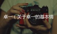 卓一（關(guān)于卓一的基本情況說明介紹）