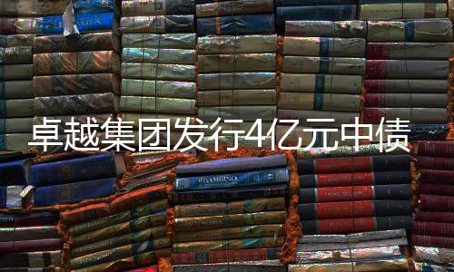 卓越集團(tuán)發(fā)行4億元中債增擔(dān)保中票,利率4.69%