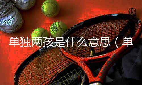 單獨(dú)兩孩是什么意思（單獨(dú)兩孩是什么意思）
