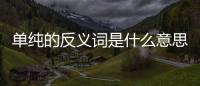 單純的反義詞是什么意思（單純的反義詞是什么）