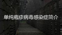 單純皰疹病毒感染癥簡介