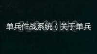 單兵作戰系統（關于單兵作戰系統的基本情況說明介紹）