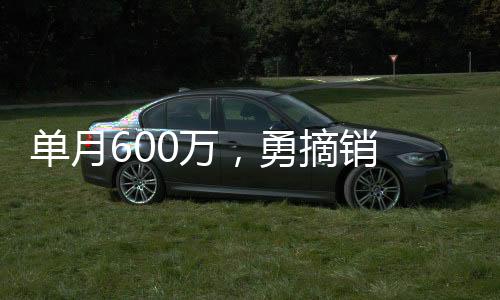 單月600萬，勇摘銷 冠