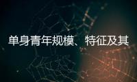 單身青年規模、特征及其影響