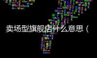賣場(chǎng)型旗艦店什么意思（旗艦店什么意思）
