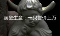 賣鼠生意：一只售價上萬，毛利率超80%