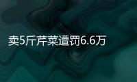 賣5斤芹菜遭罰6.6萬元背后：行政裁量權控制難題丨法眼