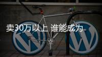 賣(mài)30萬(wàn)以上 誰(shuí)能成為各自領(lǐng)域的天花板