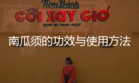 南瓜須的功效與使用方法（了解南瓜須的多種健康益處）
