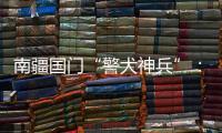 南疆國門“警犬神兵”： “雷”厲“楓”行組合護邊境安寧