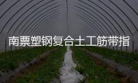 南票塑鋼復(fù)合土工筋帶指標(biāo)