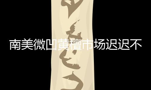 南美微凹黃檀市場遲遲不見起色