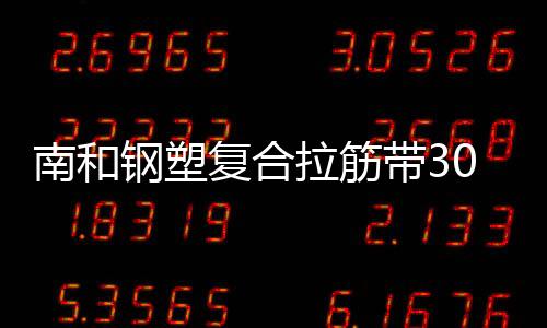 南和鋼塑復合拉筋帶30020B指標