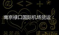 南京祿口國際機場貨運：張敏的散文詩歌原創作品賞析目錄61至78集