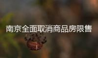 南京全面取消商品房限售 支持家庭互助購房