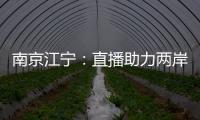 南京江寧：直播助力兩岸青年創業者奮斗追夢