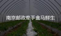 南京郵政牽手盒馬鮮生