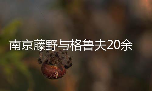 南京藤野與格魯夫20余年的共贏傳奇