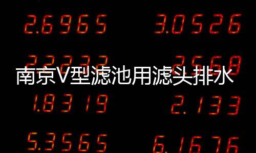 南京V型濾池用濾頭排水帽價格