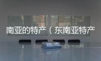 南亞的特產（東南亞特產網）