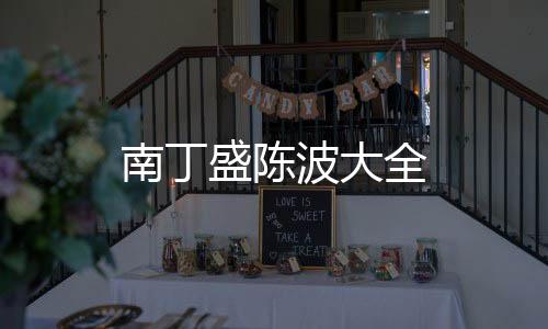南丁盛陳波大全