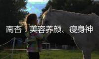 南杏：美容養(yǎng)顏、瘦身神器，不可錯過！