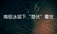 南極冰層下“潛伏”著世界最大魚類繁殖地—新聞—科學網