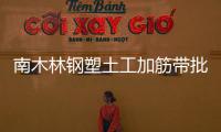 南木林鋼塑土工加筋帶批發價格