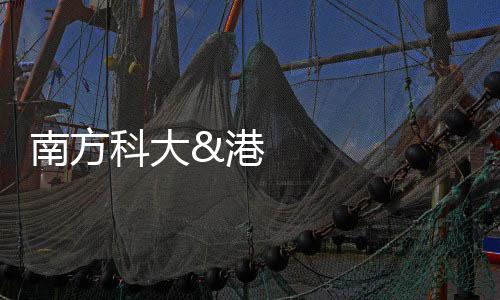 南方科大&港城大 AFM：基于無摻雜劑的無機