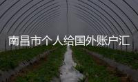 南昌市個人給國外賬戶匯款需要什么手續