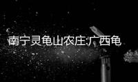南寧靈龜山農莊:廣西龜靈谷
