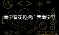 南寧看花包括廣西南寧野花的詳細情況